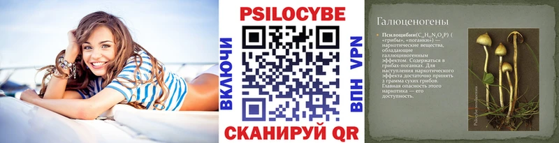Псилоцибиновые грибы мицелий  площадка какой сайт  Бакал 